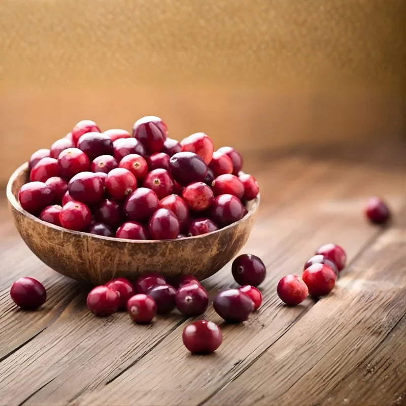 ARÁNDANO ROJO + PREBIÓTICOS